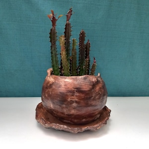 pot with saucer for plant