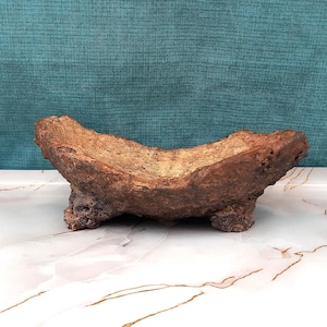 Vaso per bonsai con texture rocciosa