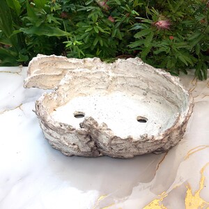 Puede incluir: Una maceta de cerámica texturizada de color blanquecino con un diseño rugoso y orgánico. La maceta tiene una forma ovalada poco profunda con dos orificios de drenaje. El borde tiene un borde irregular y rugoso. Adecuado para plantas pequeñas.
