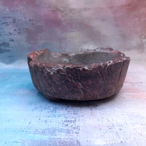Può includere: Un piccolo vaso marrone rustico con un esterno strutturato simile alla corteccia. L'interno è di un colore grigio chiaro. Il vaso ha una forma irregolare e organica, perfetto per piccole piante o succulente. Il vaso ha un diametro di circa 15 cm.