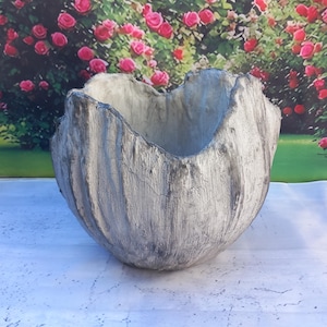 Può includere: Un vaso di cemento grigio, strutturato, con una forma organica unica. Il vaso ha un'ampia apertura e un aspetto ruvido e invecchiato. Lo sfondo presenta una vibrante esposizione di rose rosa, che aggiungono un tocco di colore alla scena.