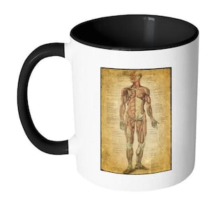Vintage Anatomical Image on coffee mug, the Muscular System Anatomy, antique medical image on 11 oz coffee mug, white with black accents