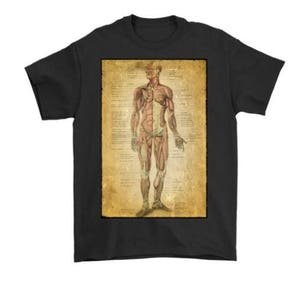 Vintage Anatomical Image on t-shirt, the Muscular System Anatomy