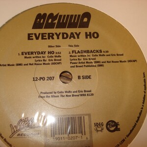 Sealed 12&quot; Single - Breed - Everyday Ho - 1994