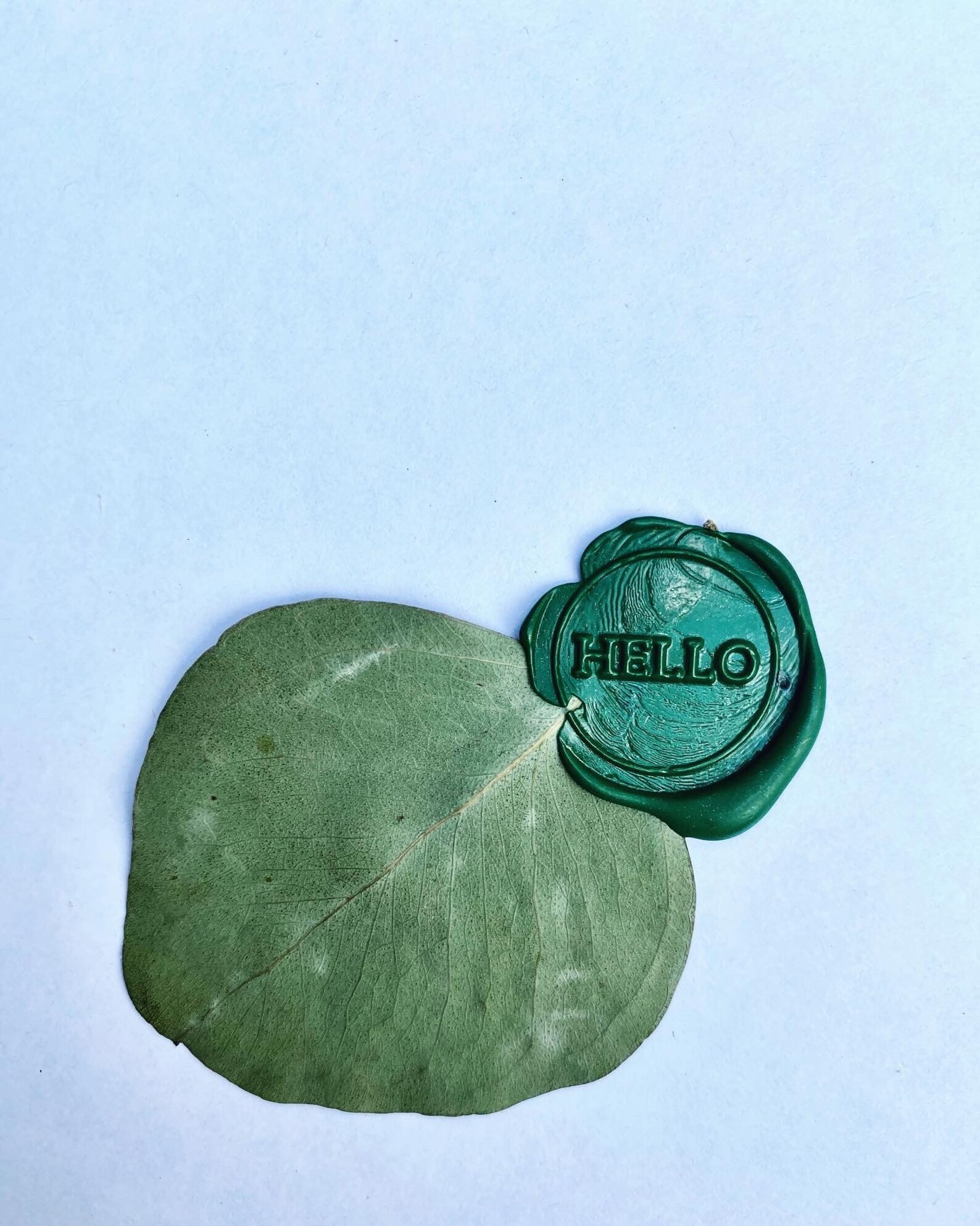 eucalyptus wax seal stamp