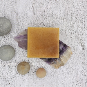 PROTECT - Four Thieves Shea Butter and Hemp Oil Hand Soap - 5 Ounces