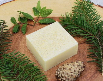 WINTER’S TALE Limited Edition Holiday Hand and Body Soap 5 oz