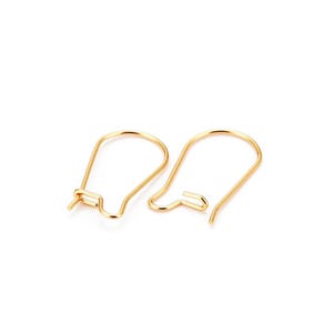 x10 surgical gold-plated 316 stainless steel earrings, American hooks, 20x11mm