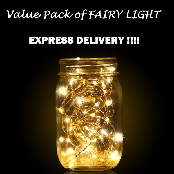 Value Pack, 20 LEDs Fairy Lights, Wedding Decorations silver coated copper wires, LED Mason Jar light, firefly Lights, fairy lights