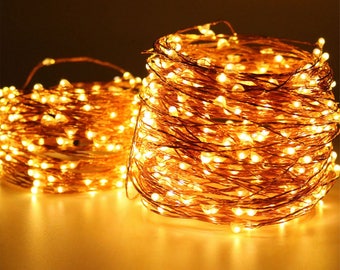May include: Two bundles of warm white LED string lights. The lights are on a thin copper wire, coiled into a circular shape. The background is a dark, warm tone, highlighting the glowing lights. These lights are ideal for home decor.