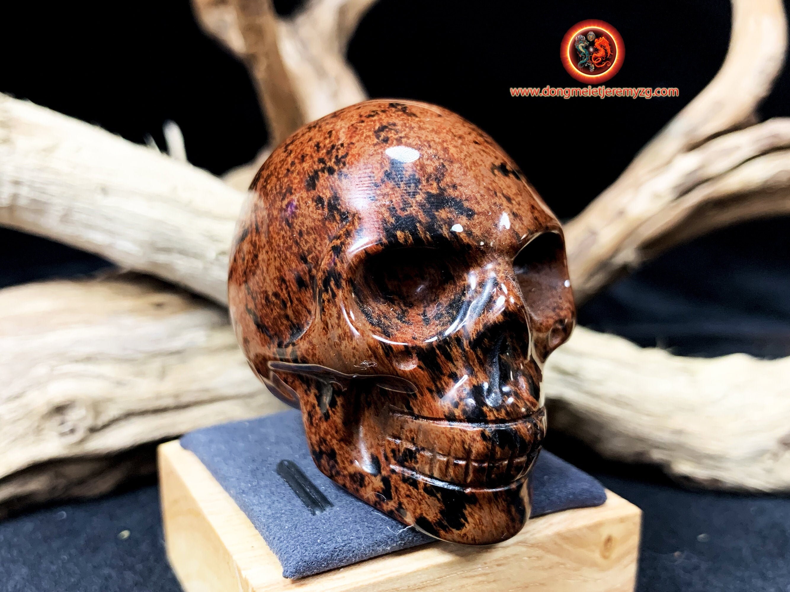 Crane de Cristal. Crane Sculpté en Pierre Naturelle. Obsidienne Acajou.pièce Unique. Vanité, Tete Mo