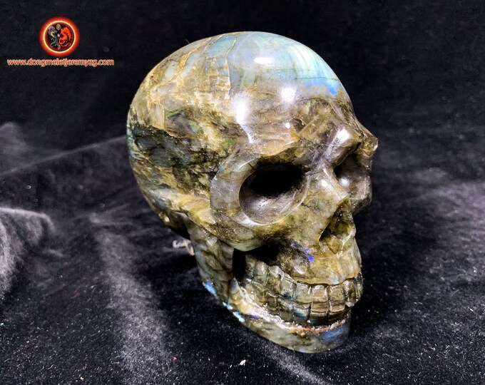 large crystal skull. Vanity. carved in natural stone. Crane in labradorite from Madagascar. Unique piece. head of death, meditation.