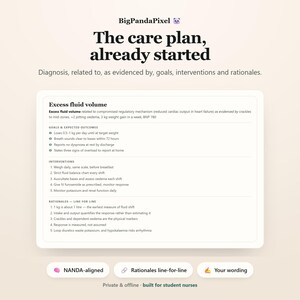May include: A digital nursing care plan template titled The care plan, already started by BigPandaPixel. It details excess fluid volume, goals, interventions, and rationales, including specific medical metrics like 3 kg weight gain and BNP 780.