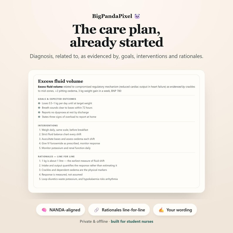 May include: A digital nursing care plan template titled The care plan, already started by BigPandaPixel. It details excess fluid volume, goals, interventions, and rationales, including specific medical metrics like 3 kg weight gain and BNP 780.