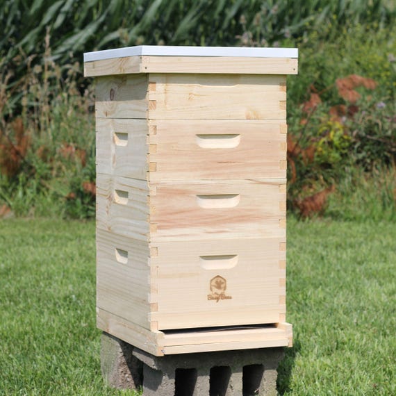 all frames and foundation Langstroth 10 frame w// honey super Bee Hive
