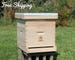 Bee Hive 10 Frame Langstroth - 1 Deep Brood & 1 Medium Super Boxes includes Frames / Foundations 