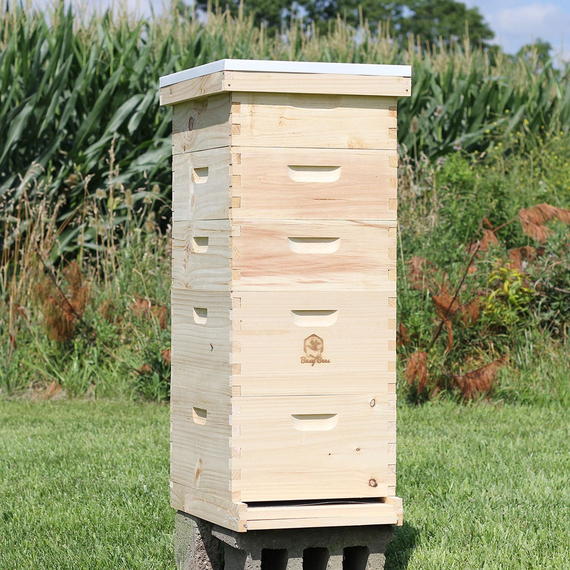 Bee Hive 10 Frame Langstroth 2 Deep Brood Boxes & 3 Etsy