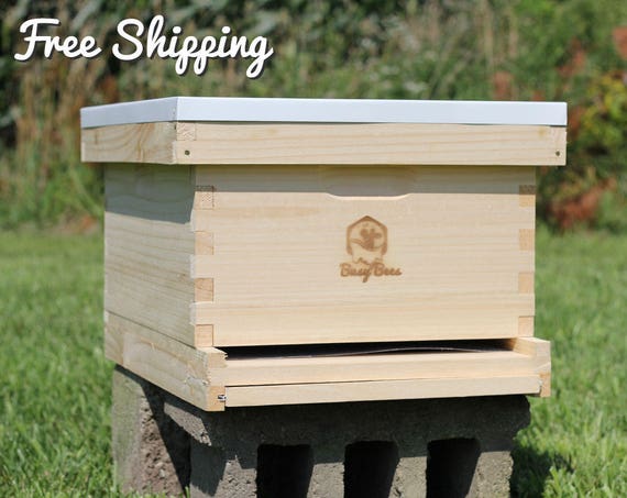 all frames and foundation Langstroth 10 frame w// honey super Bee Hive