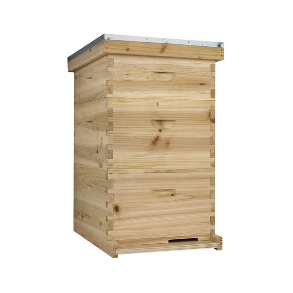 NuBee 10 Frame Beehive - 2 Deeps & 1 Medium Bee Box