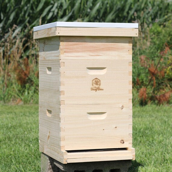 1 MEDIUM HONEY// BROOD SUPER with 9 drawn combs Longstroth Beehive Box