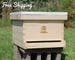 Honey Bee Starter Hive Complete with Frames & Foundations 