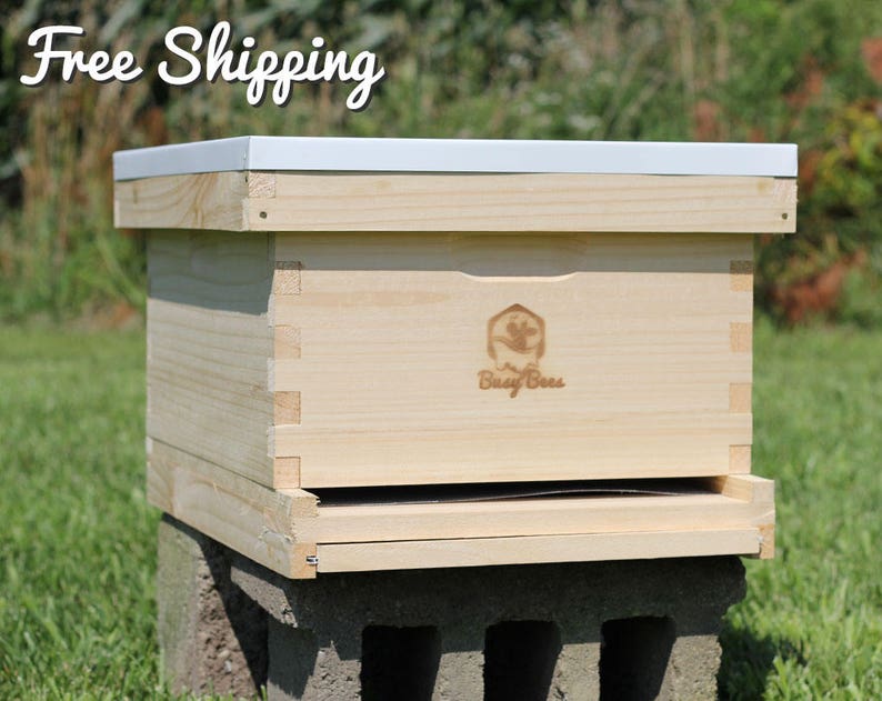 Honey Bee Starter Hive Complete With Frames & Foundations Etsy