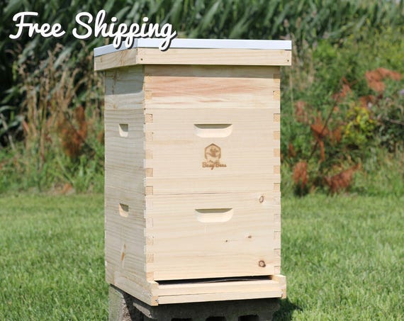 2 Deep /& 1 Medium wFrames Beekeeping Bee Hive Assembled