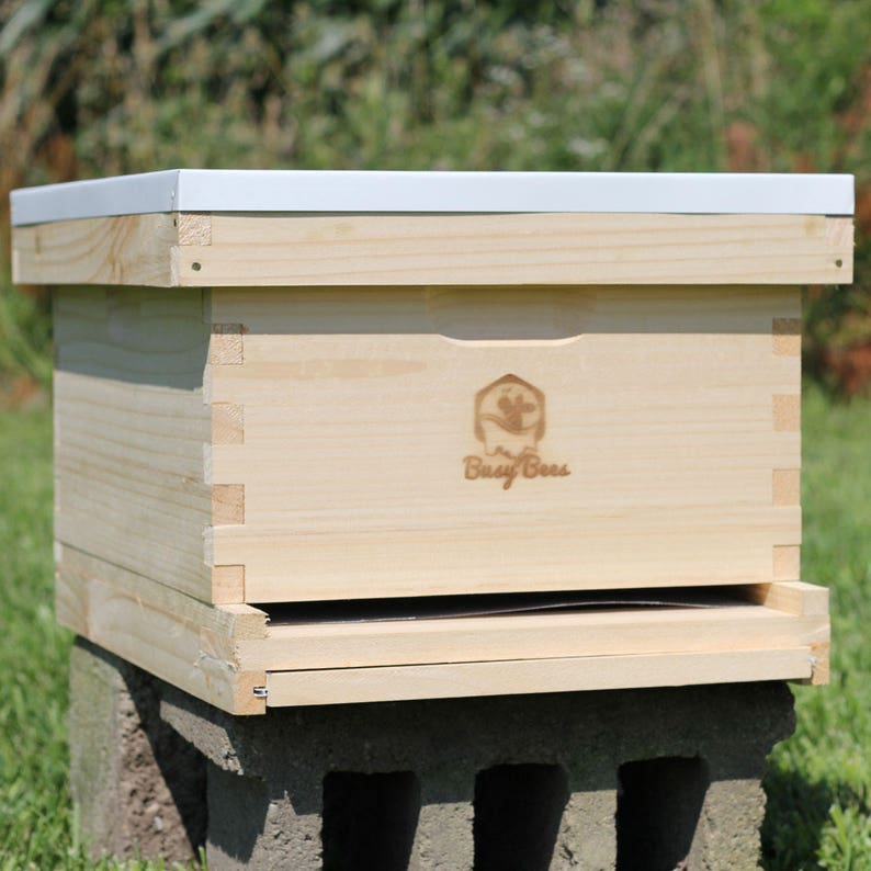 Honey Bee Starter Hive Complete With Frames & Foundations Etsy