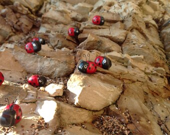 Aaaa.g Coccinella, Ricordo, Argilla polimerica, Delicato, Piccolo insetto