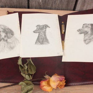 Puede incluir: Tres dibujos a lápiz en blanco y negro de perros sobre papel blanco. Los dibujos están enmarcados y se muestran en una carpeta de cuero marrón.