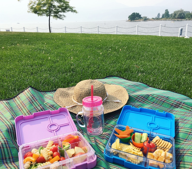Leakproof Bento Lunch box for Kids or AdultsBentoboxBPA Free Lunch container4compartments For Kids /& AdultsLilac PurpleBonoshoppe