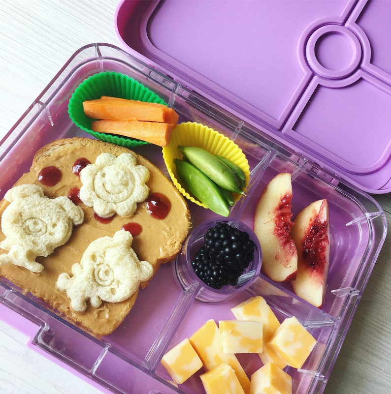 Leakproof Bento Lunch box for Kids or AdultsBentoboxBPA Free Lunch container4compartments For Kids /& AdultsLilac PurpleBonoshoppe