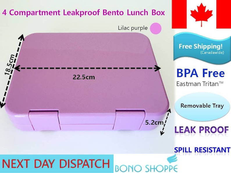 Leakproof Bento Lunch box for Kids or AdultsBentoboxBPA Free Lunch container4compartments For Kids /& AdultsLilac PurpleBonoshoppe