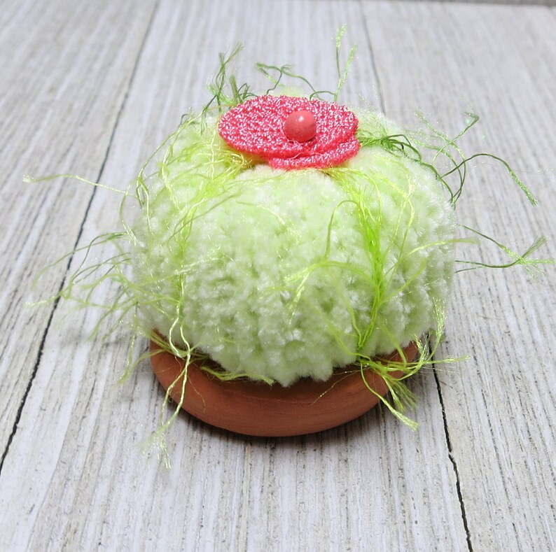 Tiny Barrel Cacti