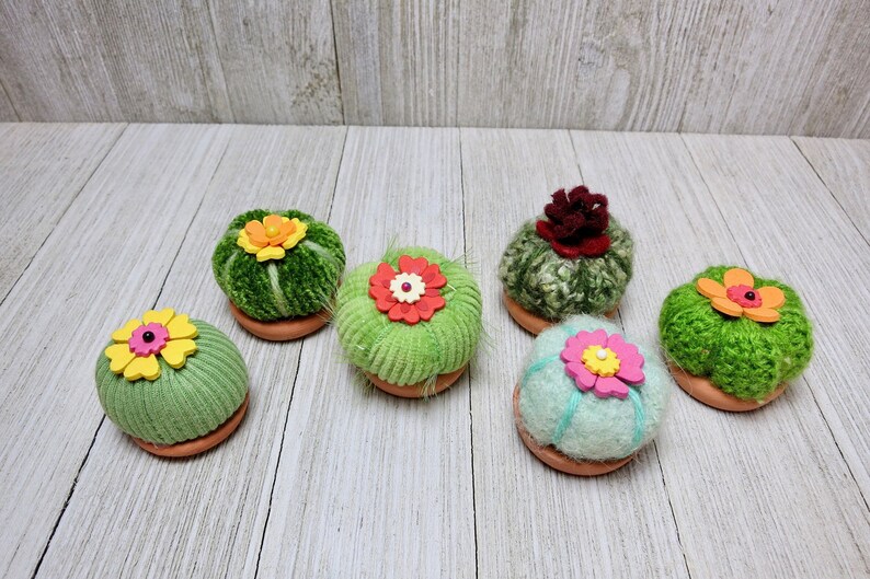 Tiny Barrel Cacti