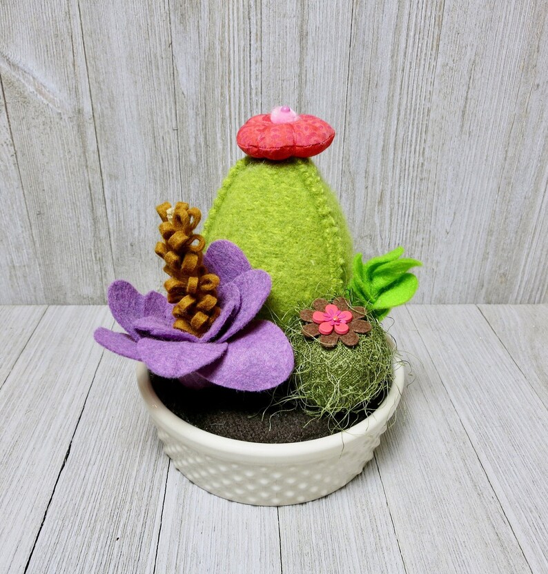 Sweet Succulents