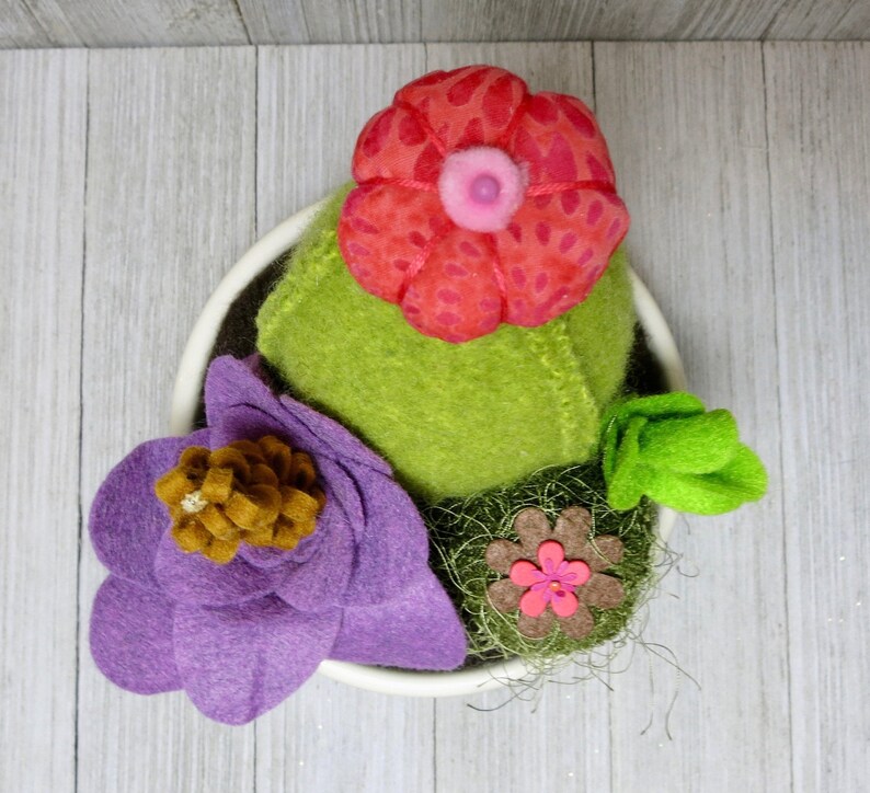 Sweet Succulents