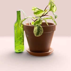 The Wicking Tower - Bordeaux Model