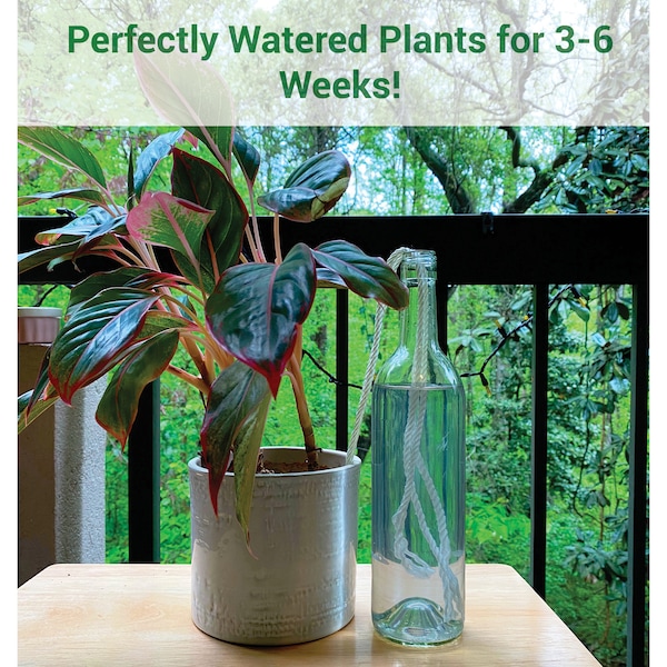 Self Watering Wick - Perfectly Watered Plants for Weeks - Use your own Wine Bottle - Gardening - Plant Accessories