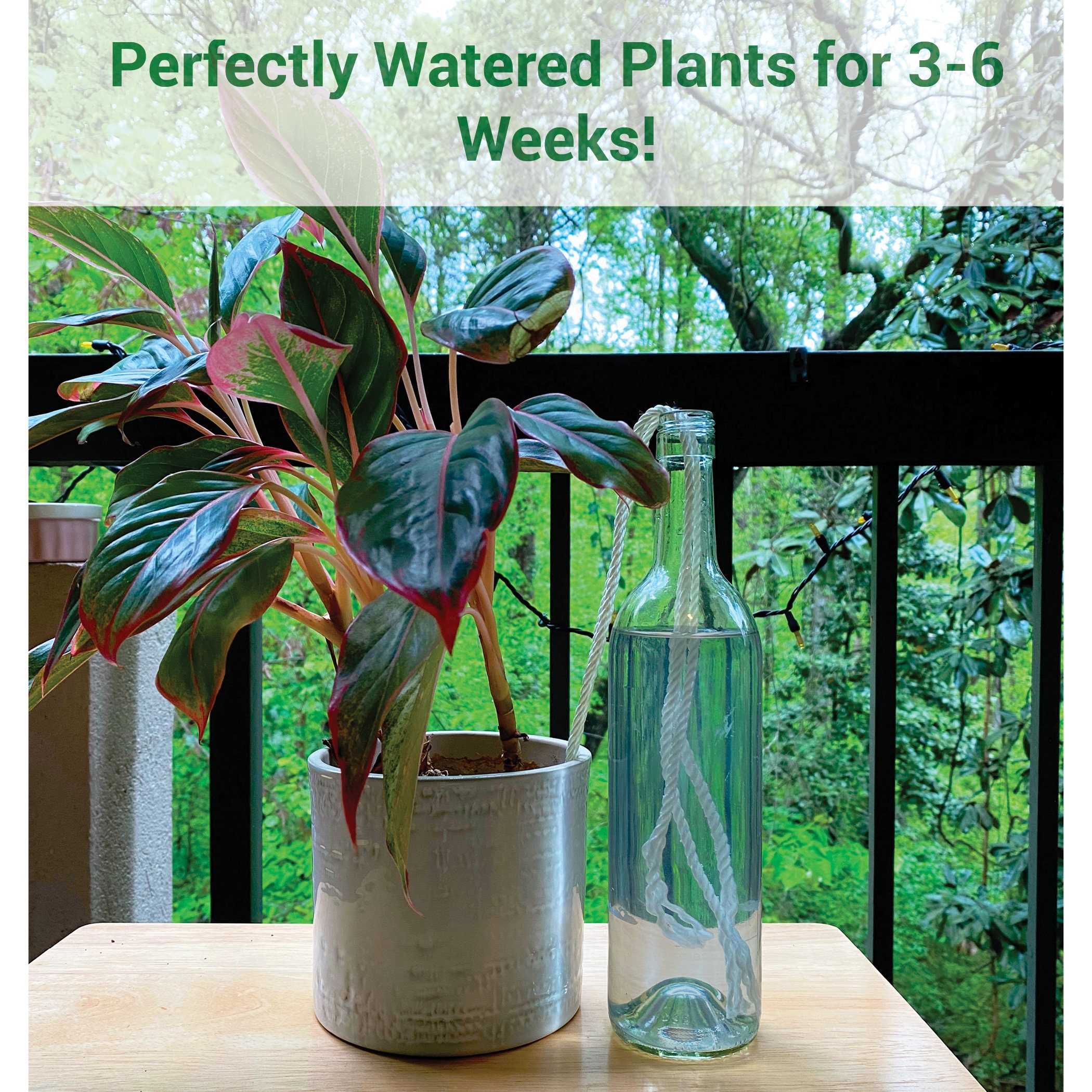 large indoor planter with stand Madeira Aluminum Raised 16