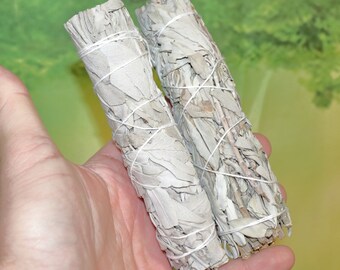 White Sage Bulk -Large Bundles, White Sage Stick, White Sage Bundle, Bulk California White Sage