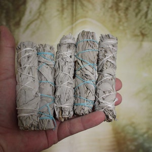 5-100 Bulk, White Sage Stick, White Sage Bundle, California White Sage image 3