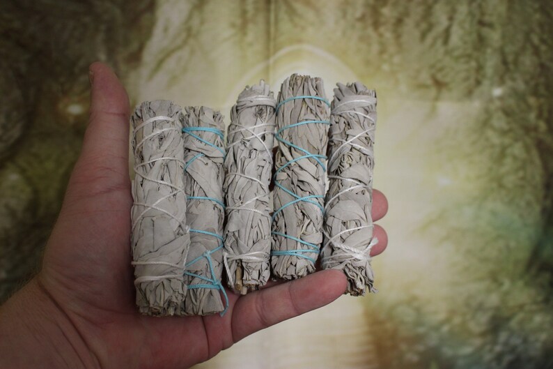 5-100 Bulk, White Sage Stick, White Sage Bundle, California White Sage image 3