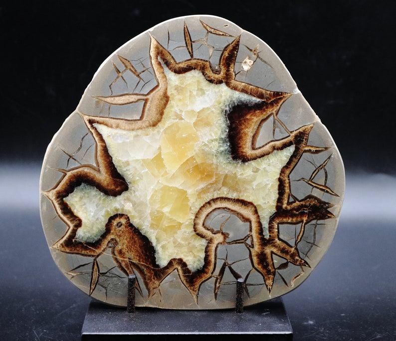 Large Septarian Slab Dragon Stone 1