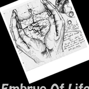 May include: A black and white drawing of two hands cupping an embryo. The drawing is titled "Embryo of Life" and has the text "New Beginnings" and "Zantara & Zanurthia" below it.