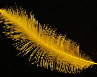 nandou feather, rhea feathers, milliner feathers, fly feather, fly tying, rhea float tube, rhea intruder, nandu federn,