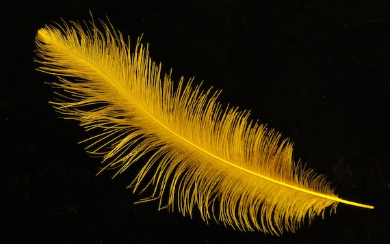 Fly Tying Feathers - RHEA - The Canadian Tube Fly Company