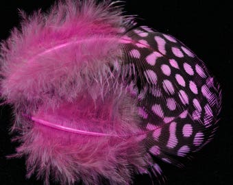 set of 20 speckled feathers Fuchsia fowl making jewelry, scrapbooking