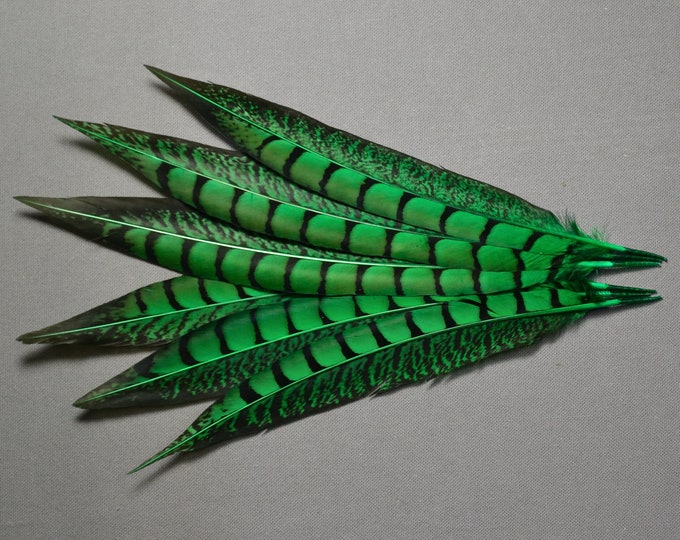 PLUMA DE FAISÁN LADY AMHERST 55 - 60 CMS. - Plumas De Faisán - Materiales para tocados, Telas de