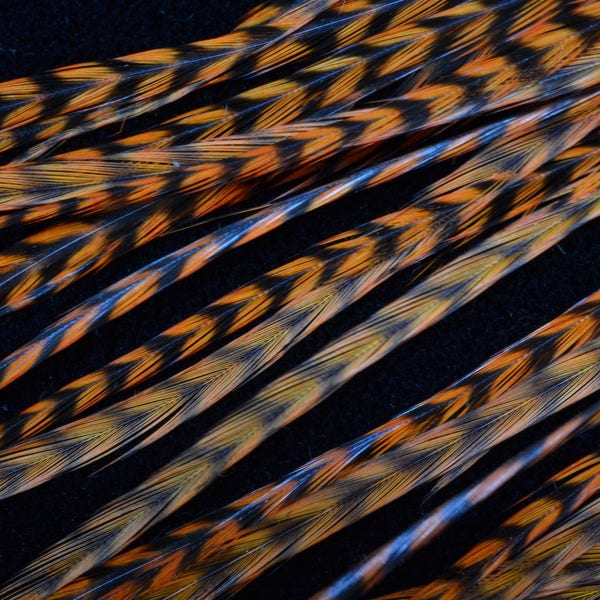 plumes extension de cheveux en plumes naturelles de coq